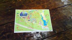 staff-0617-02.jpg