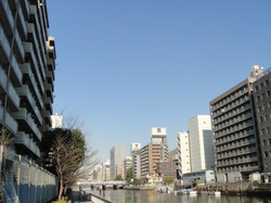 kobayashi_0206.jpg